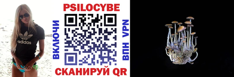 ссылка на мегу вход  Андреаполь  Псилоцибиновые грибы мицелий 